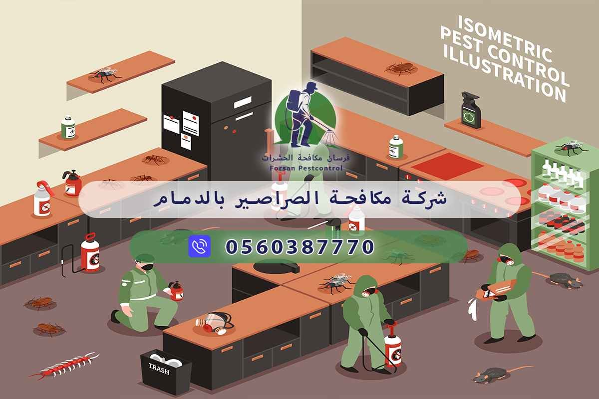 شركة مكافحة الصراصير بالدمام 0560387770 - فرسان مكافحة الحشرات 3 شركة مكافحة الصراصير بالدمام