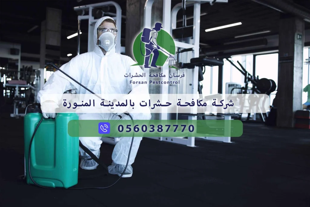 شركة مكافحة حشرات بالمدينة المنورة
