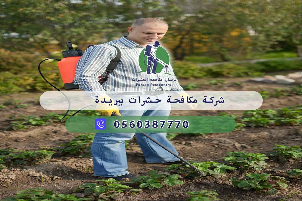شركة مكافحة حشرات ببريدة 0560387770 - فرسان مكافحة الحشرات 3 شركة مكافحة حشرات ببريدة