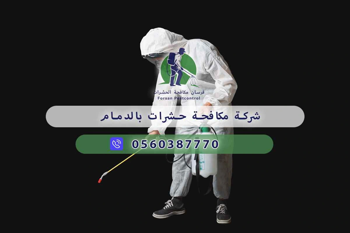 شركة مكافحة حشرات بالدمام