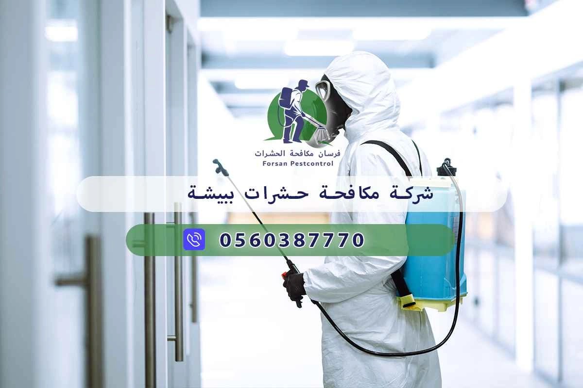شركة مكافحة حشرات ببيشة 0560387770 - فرسان مكافحة الحشرات 3 شركة مكافحة حشرات ببيشة
