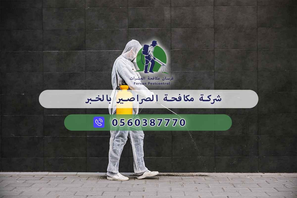 شركة مكافحة الصراصير بالخبر 0560387770 - فرسان مكافحة الحشرات 3 شركة مكافحة الصراصير بالخبر
