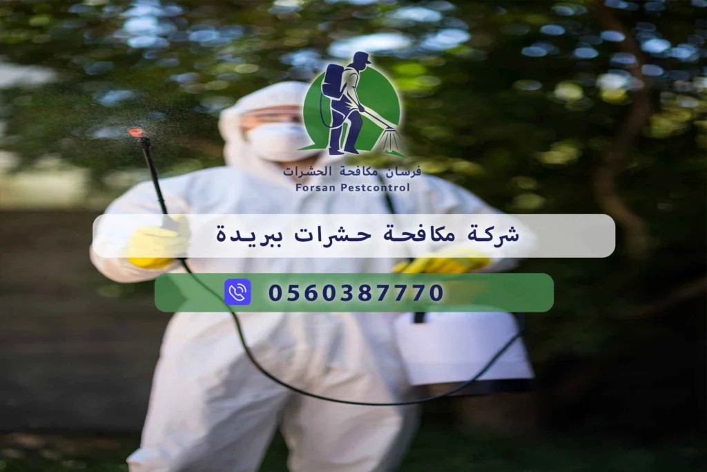 شركة مكافحة حشرات ببريدة