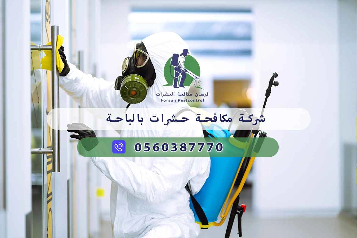شركة مكافحة حشرات بالباحة 0560387770 | فرسان مكافحة الحشرات 3 شركة مكافحة حشرات بالباحة
