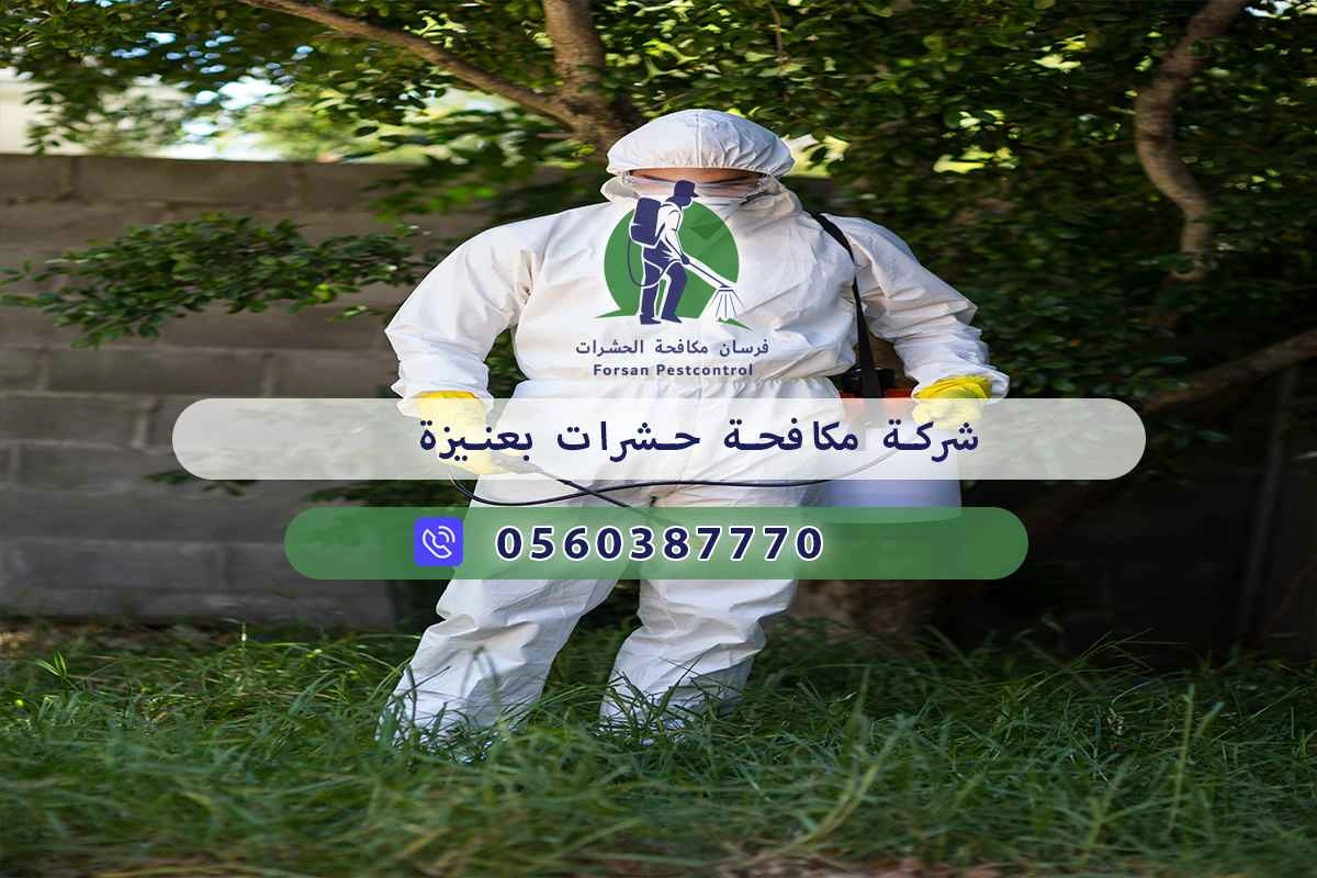شركة مكافحة حشرات بعنيزة 0560387770 - فرسان مكافحة الحشرات 3 شركة مكافحة حشرات بعنيزة