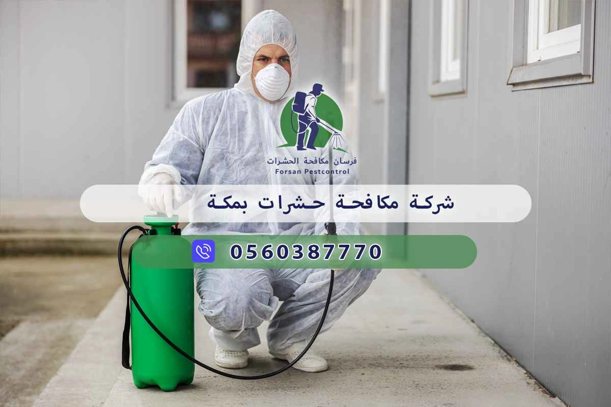 شركة مكافحة حشرات بمكة 0560387770 – فرسان مكافحة الحشرات 3 شركة مكافحة حشرات بمكة