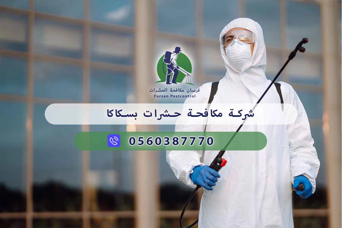 شركة مكافحة حشرات بسكاكا 0560387770 - فرسان مكافحة الحشرات 3 شركة مكافحة حشرات بسكاكا
