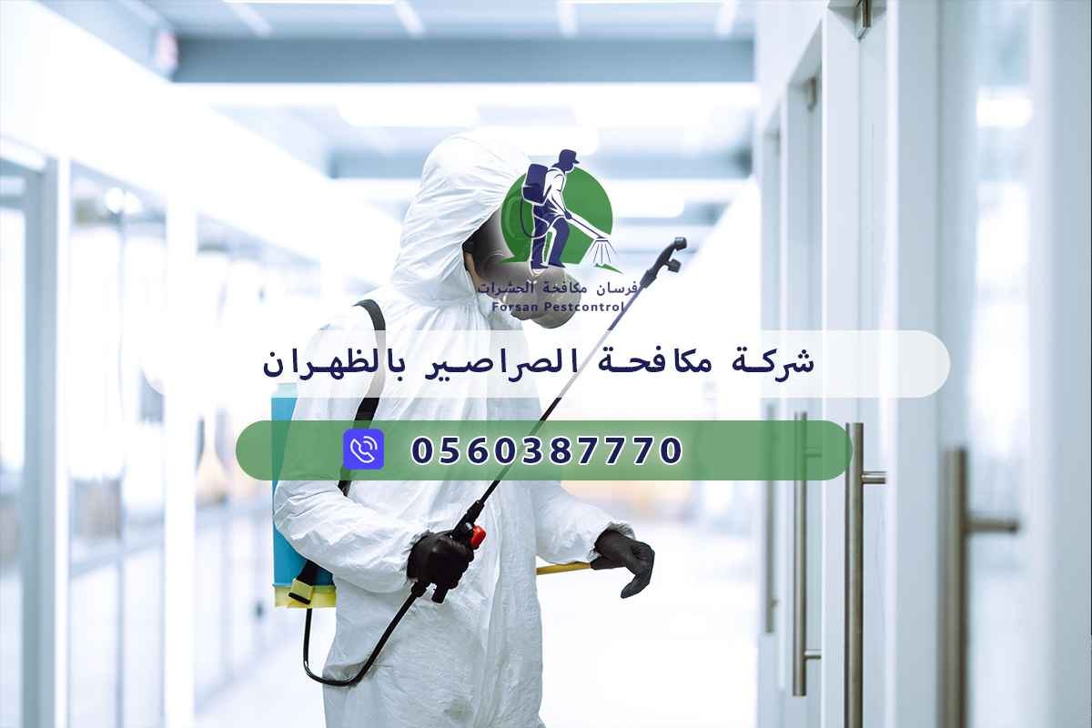 شركة مكافحة الصراصير بالظهران 0560387770 - فرسان مكافحة الحشرات 3 شركة مكافحة الصراصير بالظهران