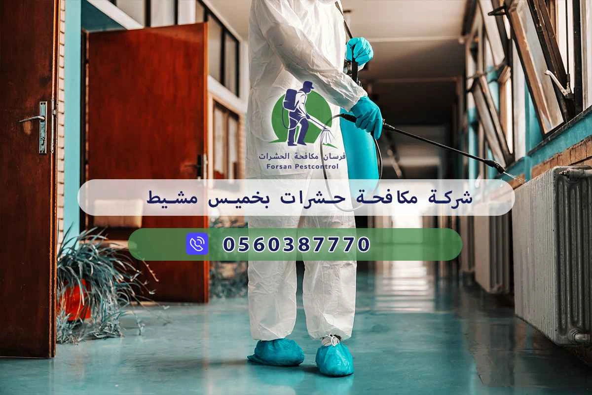 شركة مكافحة حشرات بخميس مشيط 0560387770 - شركة مكافحة الحشرات 3 شركة مكافحة حشرات بخميس مشيط