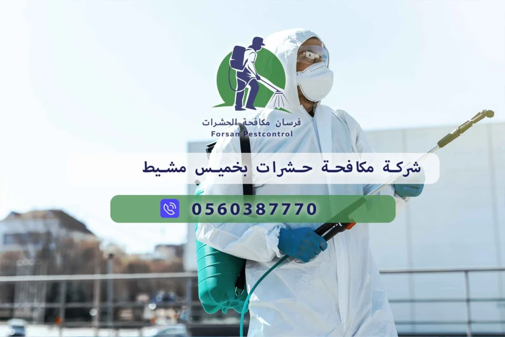 شركة مكافحة حشرات بخميس مشيط