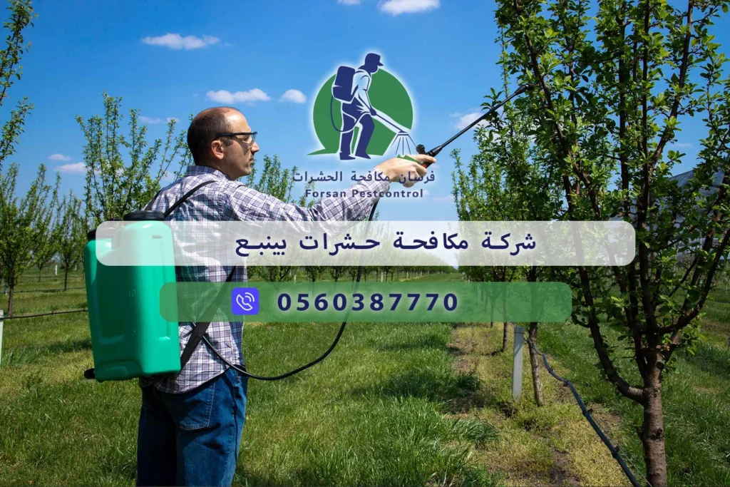 شركة مكافحة حشرات بينبع