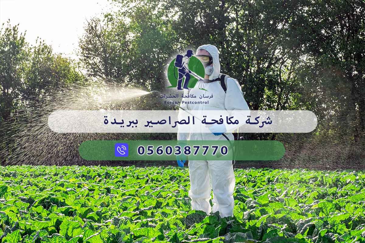 شركة مكافحة الصراصير ببريدة 0560387770 - فرسان مكافحة الحشرات 3 شركة مكافحة الصراصير ببريدة