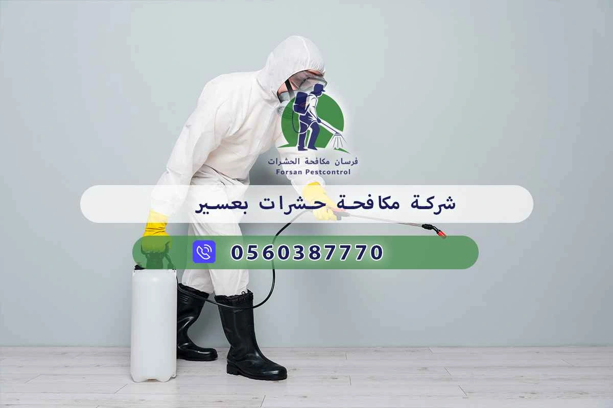 شركة مكافحة حشرات بعسير