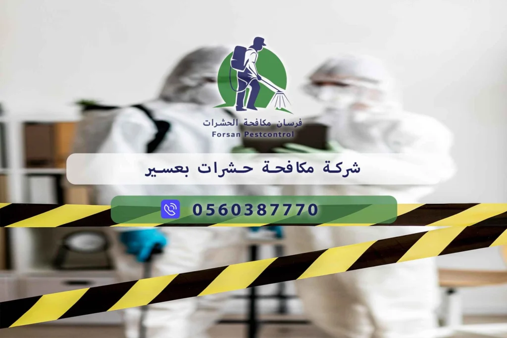 شركة مكافحة حشرات بعسير