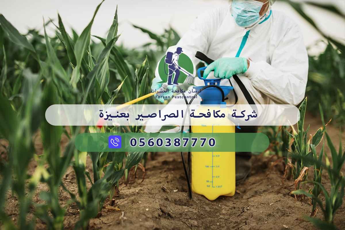 شركة مكافحة الصراصير بعنيزة 0560387770 - فرسان مكافحة الحشرات 3 شركة مكافحة الصراصير بعنيزة