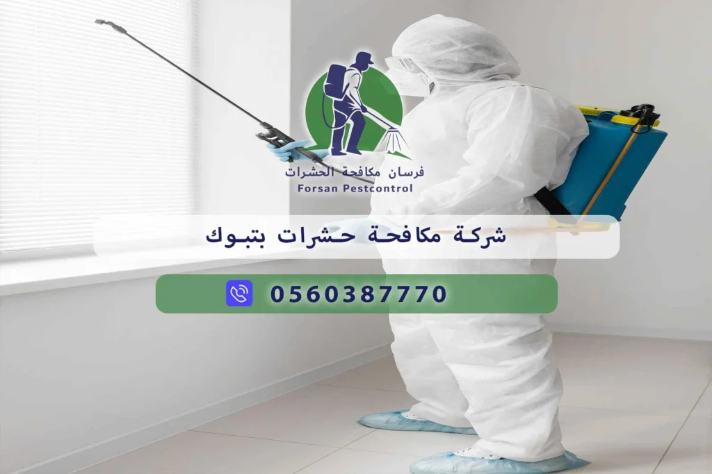 شركة مكافحة حشرات بتبوك