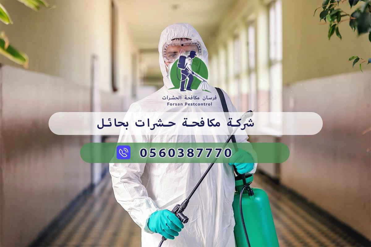 شركة مكافحة حشرات بحائل 0560387770 - فرسان مكافحة الحشرات 3 شركة مكافحة حشرات بحائل