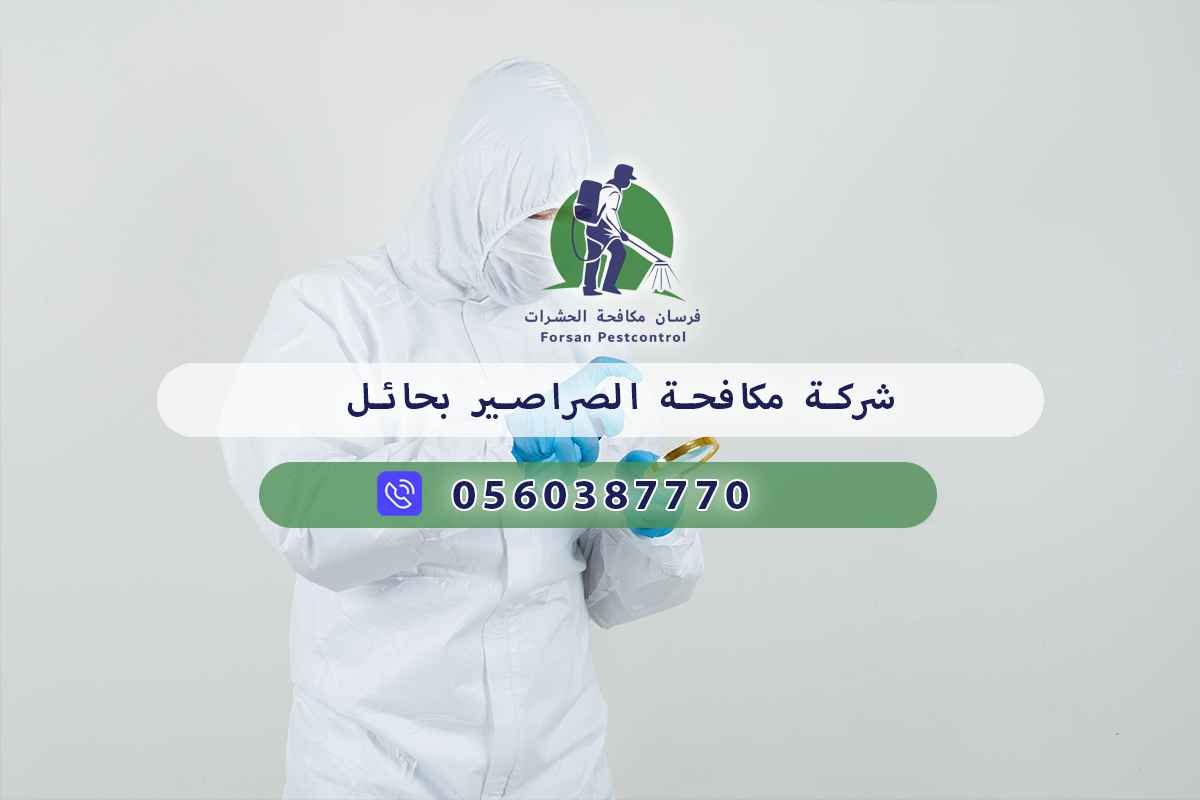 شركة مكافحة الصراصير بحائل 0560387770 - فرسان مكافحة الحشرات 3 شركة مكافحة الصراصير بحائل