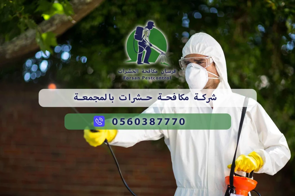 شركة مكافحة حشرات بالمجمعة