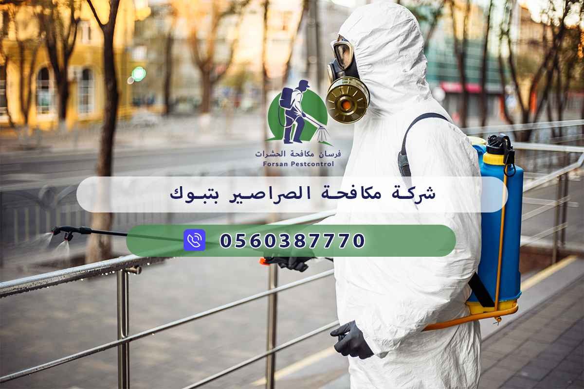 شركة مكافحة الصراصير بتبوك 0560387770 - فرسان مكافحة الحشرات 3 شركة مكافحة الصراصير بتبوك