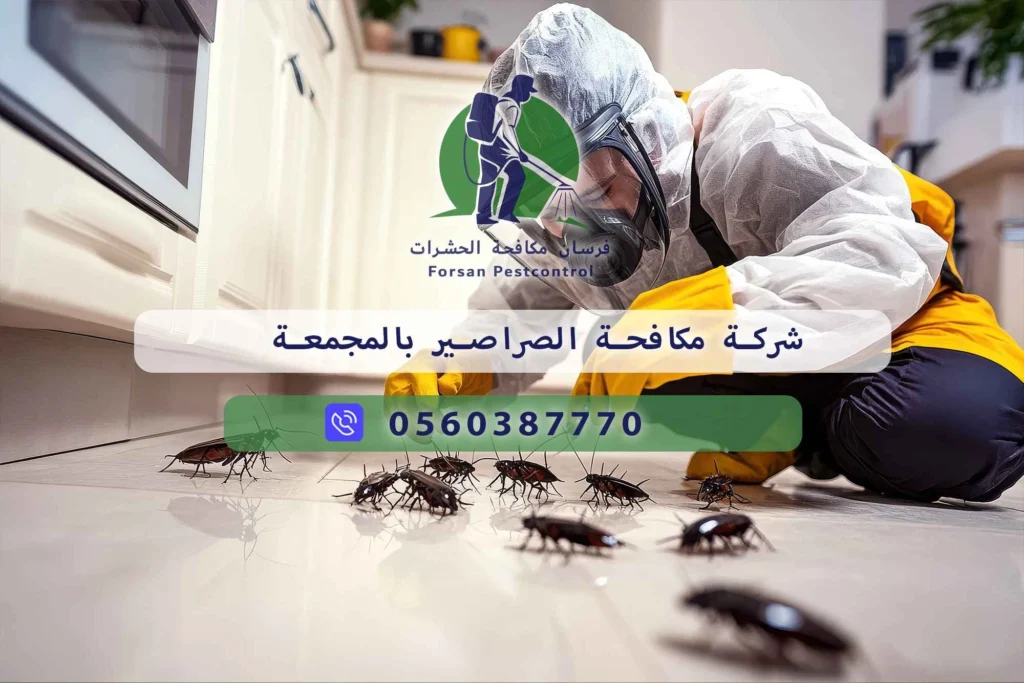 شركة مكافحة الصراصير بالمجمعة