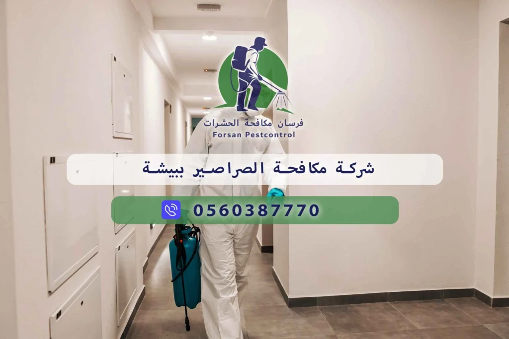 شركة مكافحة الصراصير ببيشة