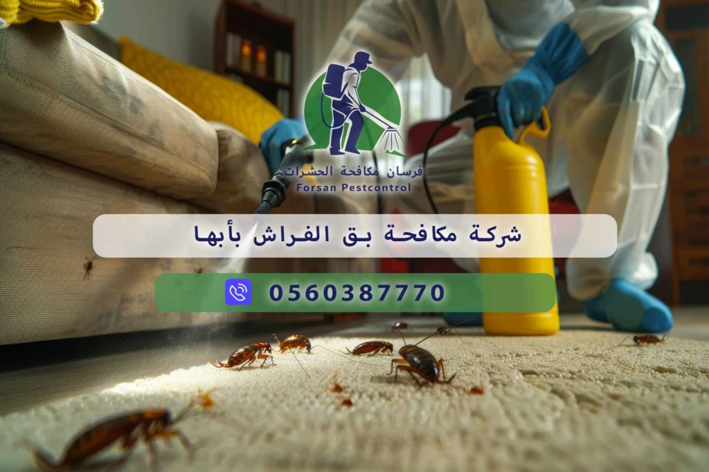 شركة مكافحة بق الفراش بأبها