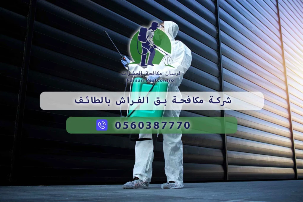 شركة مكافحة بق الفراش بالطائف