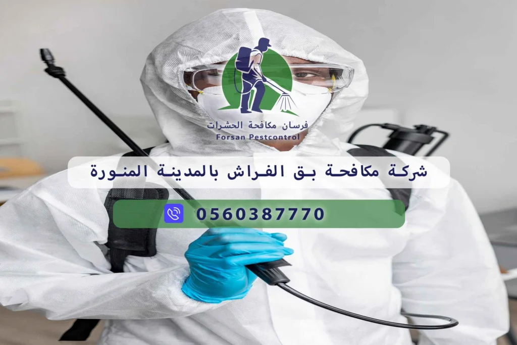 شركة مكافحة بق الفراش بالمدينة المنورة
