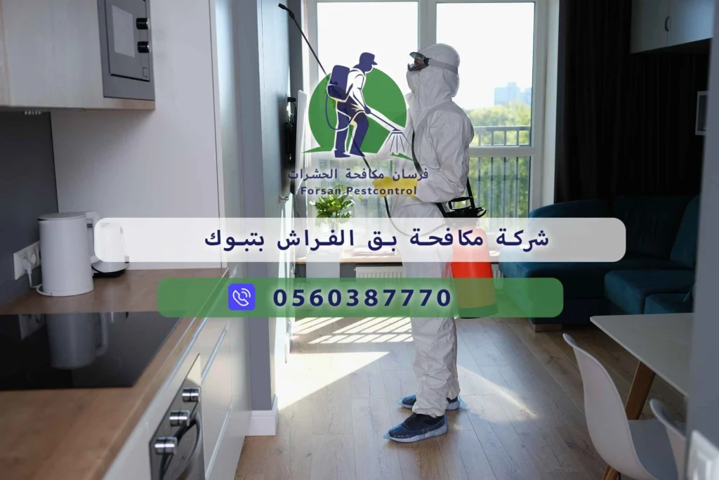 شركة مكافحة بق الفراش بتبوك