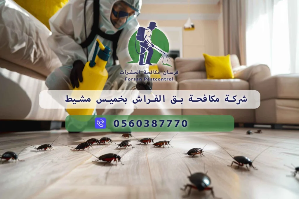شركة مكافحة بق الفراش بخميس مشيط
