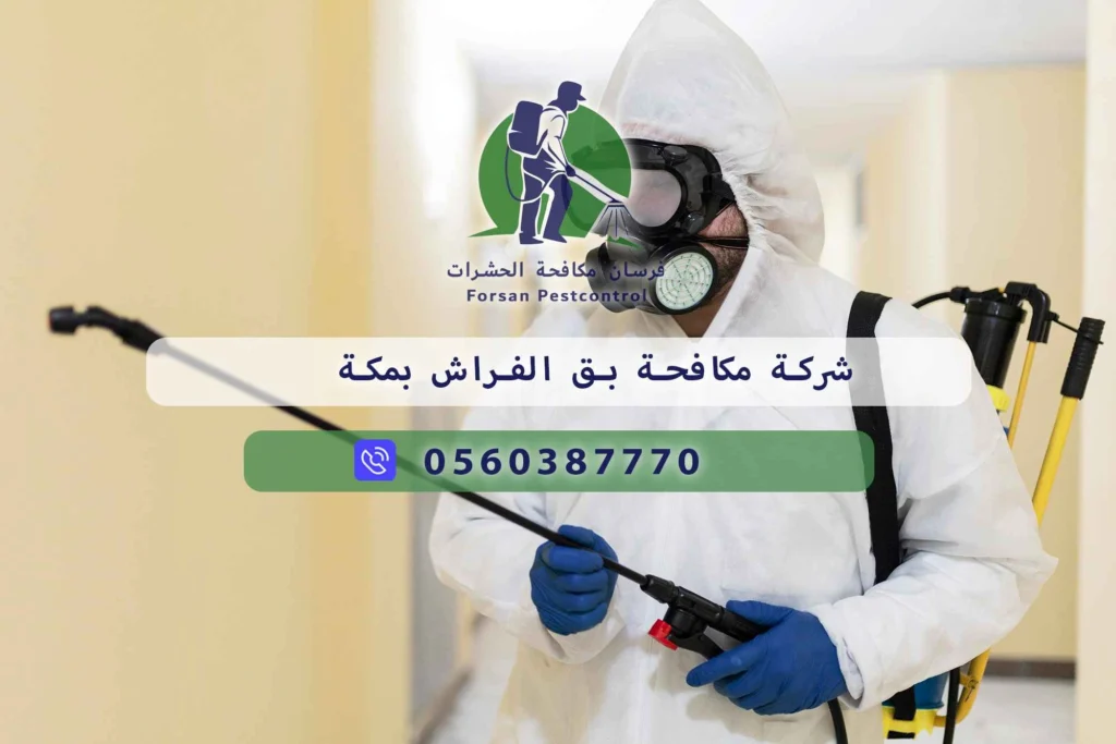 شركة مكافحة بق الفراش بمكة