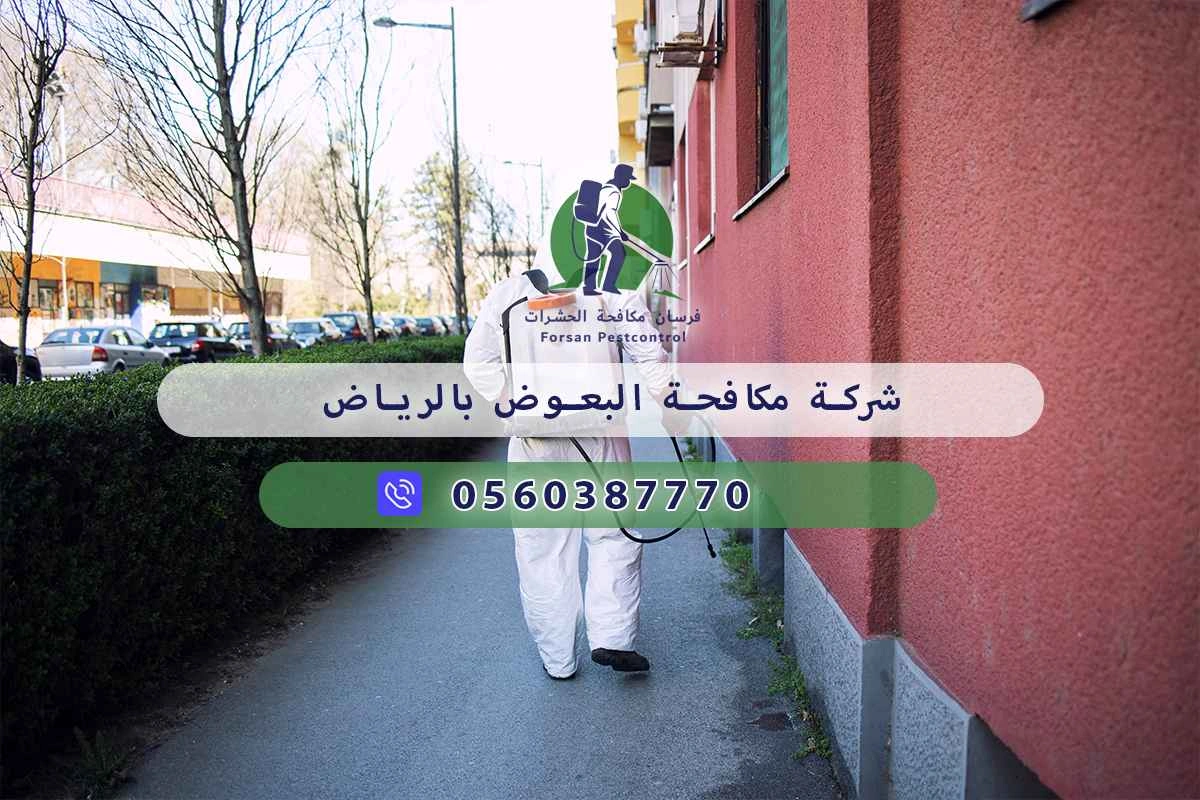 شركة مكافحة البعوض بالرياض 0560387770 – خصم ٤٥% مكافحة آمنة 3 شركة مكافحة البعوض بالرياض