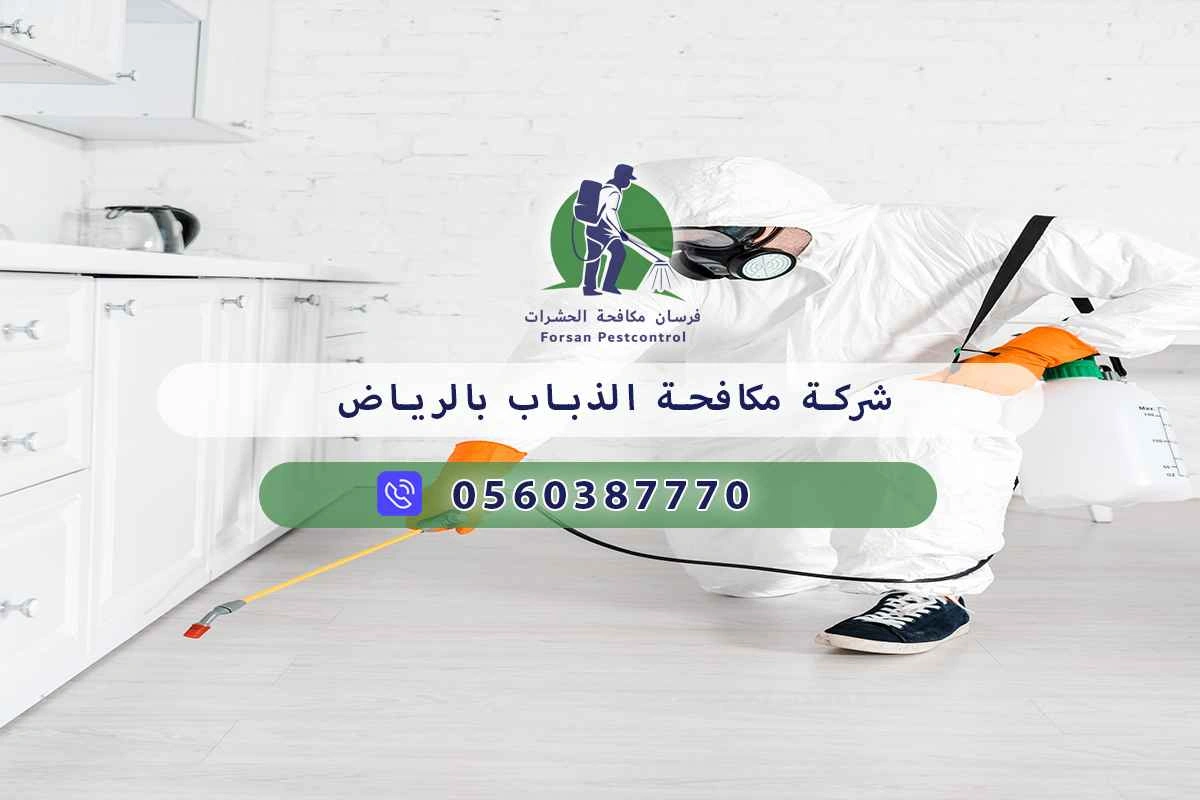 شركة مكافحة الذباب بالرياض 0560387770 – خصم ٤٥% مكافحة آمنة 3 شركة مكافحة الذباب بالرياض