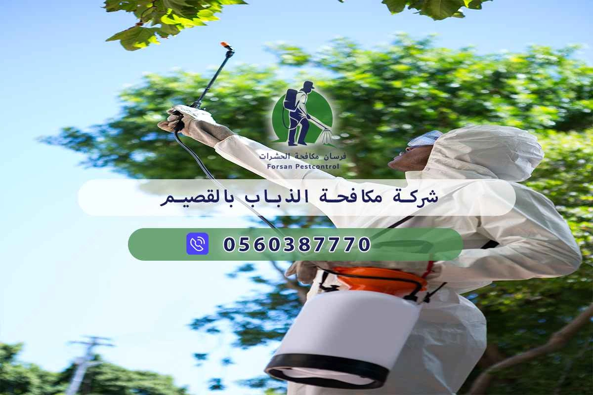 شركة مكافحة الذباب بالقصيم 0560387770 – خصم ٤٥% مكافحة آمنة 3 شركة مكافحة الذباب بالقصيم