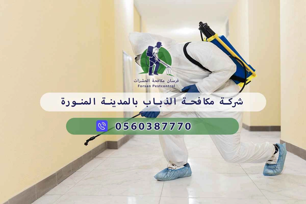 شركة مكافحة الذباب بالمدينة المنورة 0560387770 – خصم ٤٥% مكافحة آمنة 3 شركة مكافحة الذباب بالمدينة المنورة
