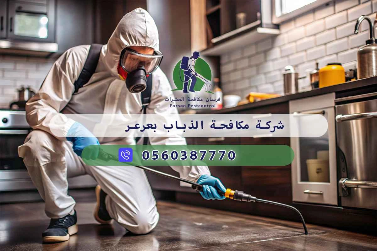 شركة مكافحة الذباب بعرعر 0560387770 – خصم ٤٥% مكافحة آمنة 3 شركة مكافحة الذباب بعرعر