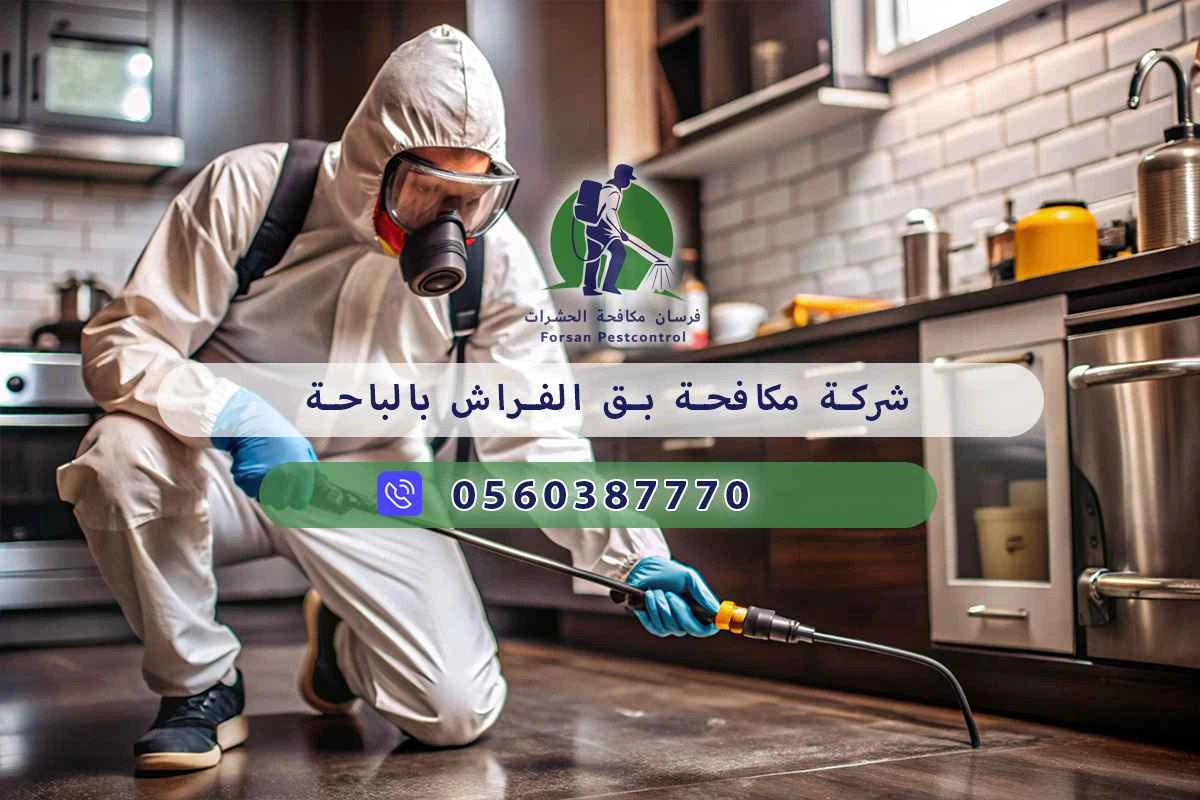 شركة مكافحة بق الفراش بالباحة 0560387770 – فرسان مكافحة الحشرات 3 شركة مكافحة بق الفراش بالباحة