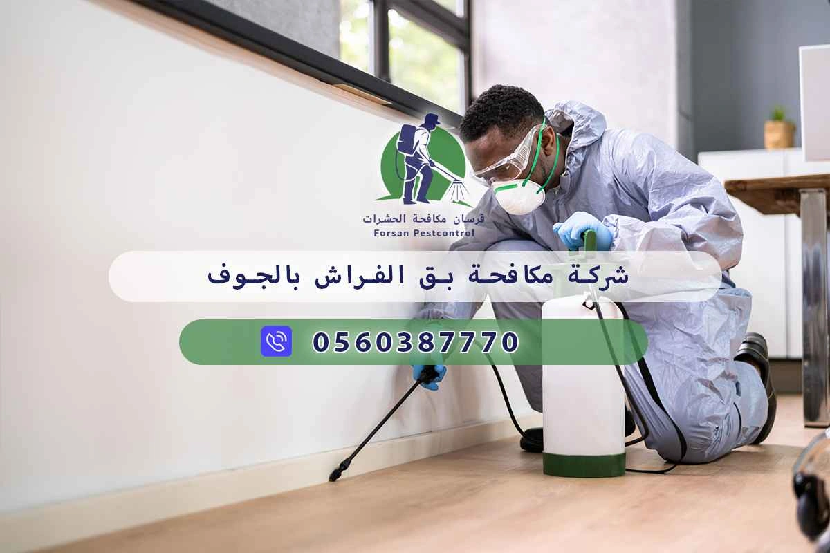 شركة مكافحة بق الفراش بالجوف 0560387770 – فرسان مكافحة الحشرات 3 شركة مكافحة بق الفراش بالجوف