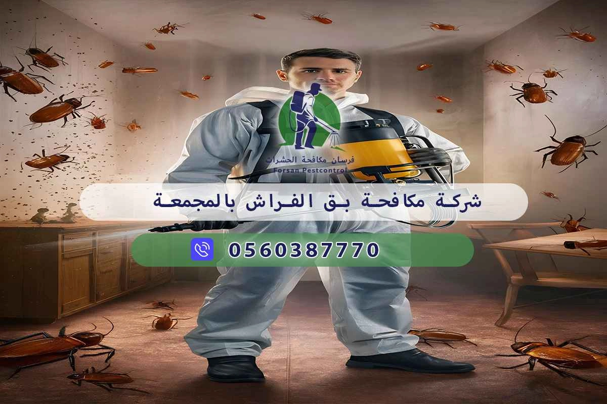 شركة مكافحة بق الفراش بالمجمعة 0560387770 – فرسان مكافحة الحشرات 3 شركة مكافحة بق الفراش بالمجمعة