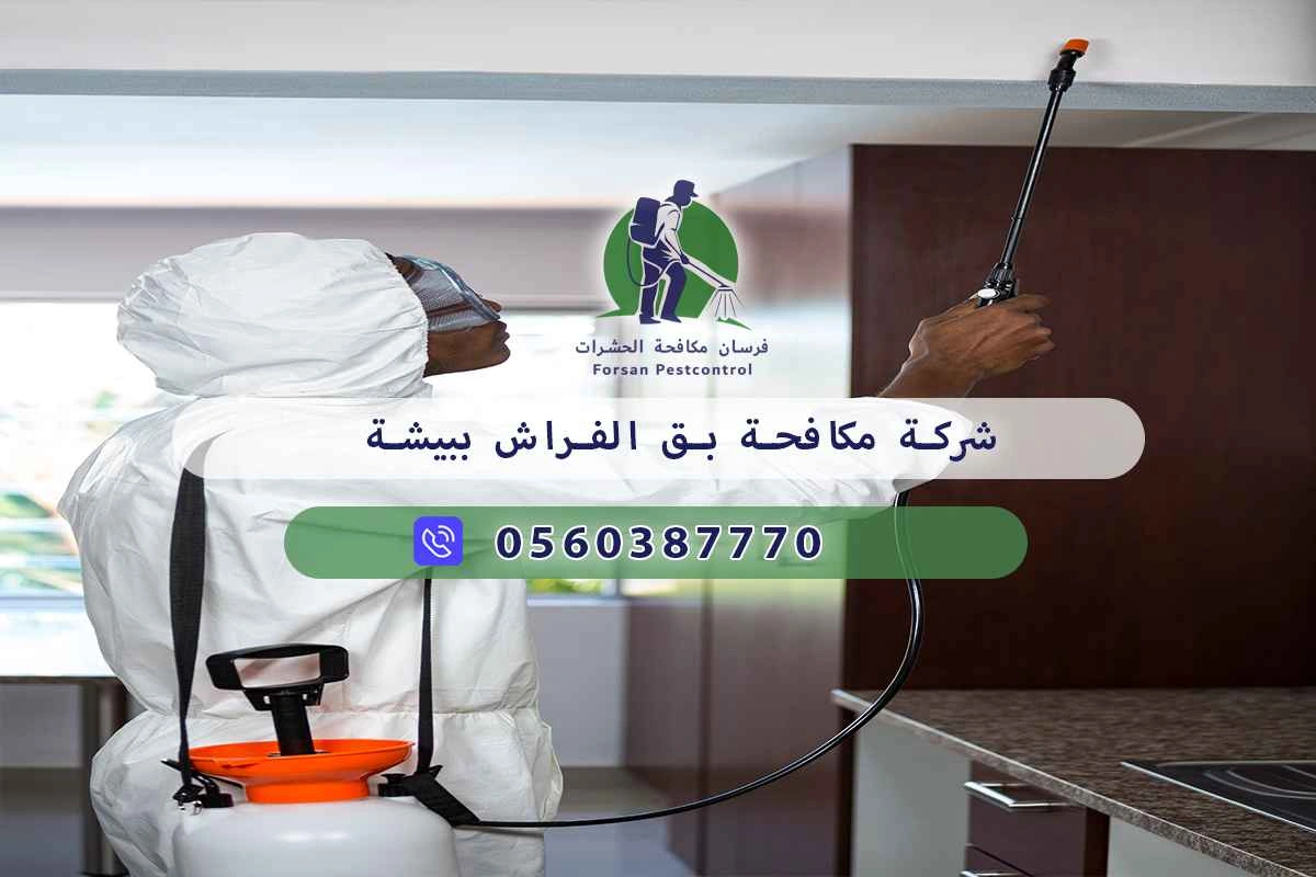 شركة مكافحة بق الفراش ببيشة 0560387770 – فرسان مكافحة الحشرات 3 شركة مكافحة بق الفراش ببيشة