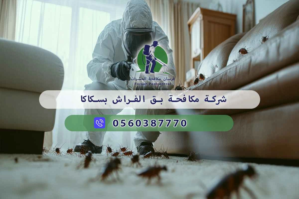 شركة مكافحة بق الفراش بسكاكا 0560387770 – فرسان مكافحة الحشرات 3 شركة مكافحة بق الفراش بسكاكا