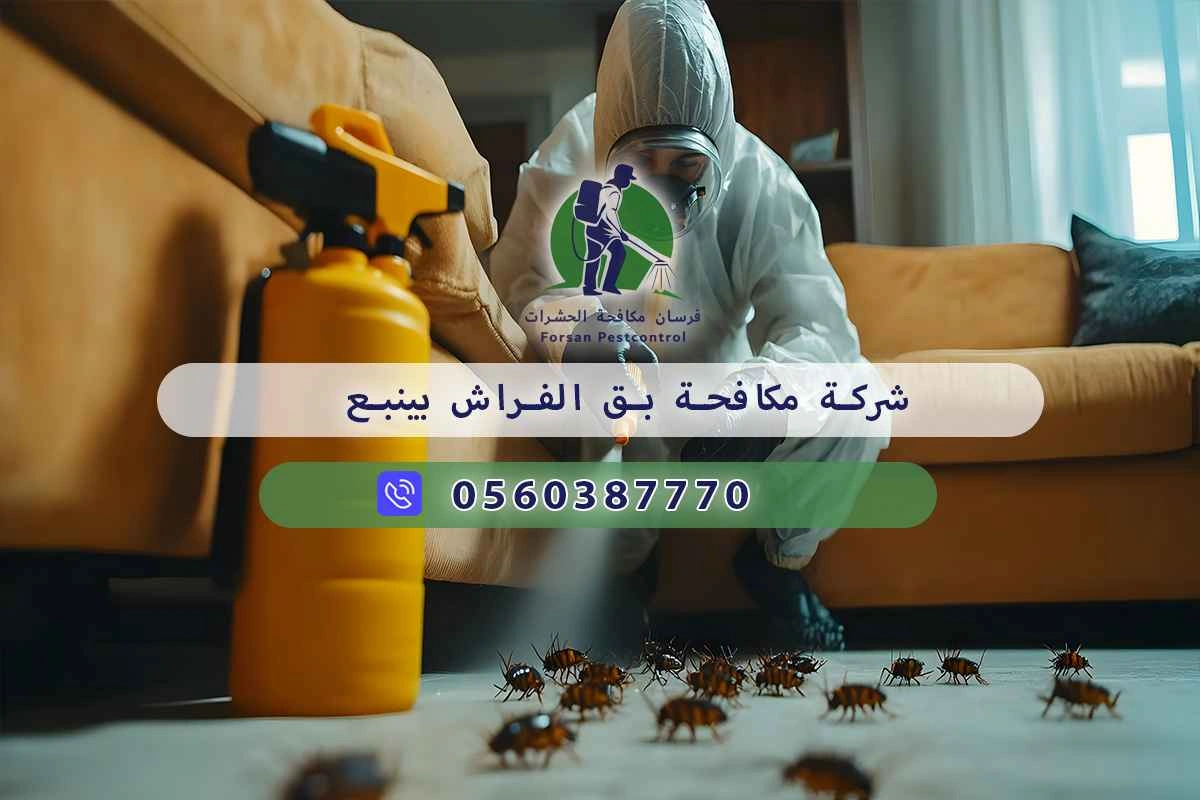 شركة مكافحة بق الفراش بينبع 0560387770 – فرسان مكافحة الحشرات 3 شركة مكافحة بق الفراش بينبع