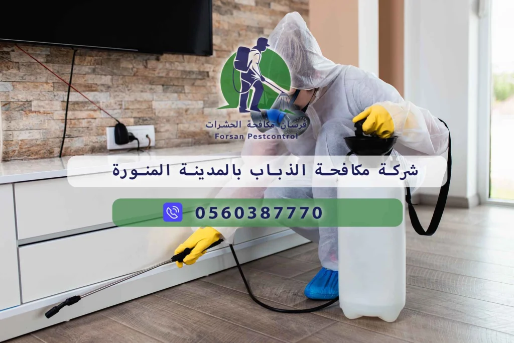 شركة مكافحة الذباب بالمدينة المنورة