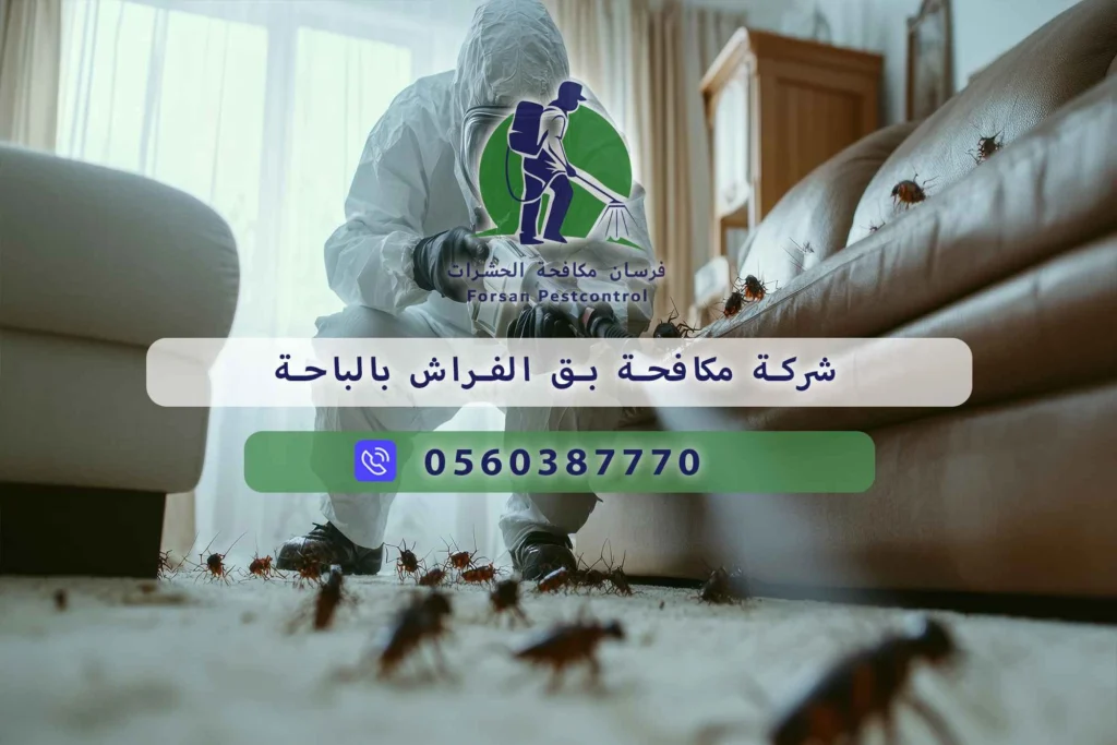 شركة مكافحة بق الفراش بالباحة