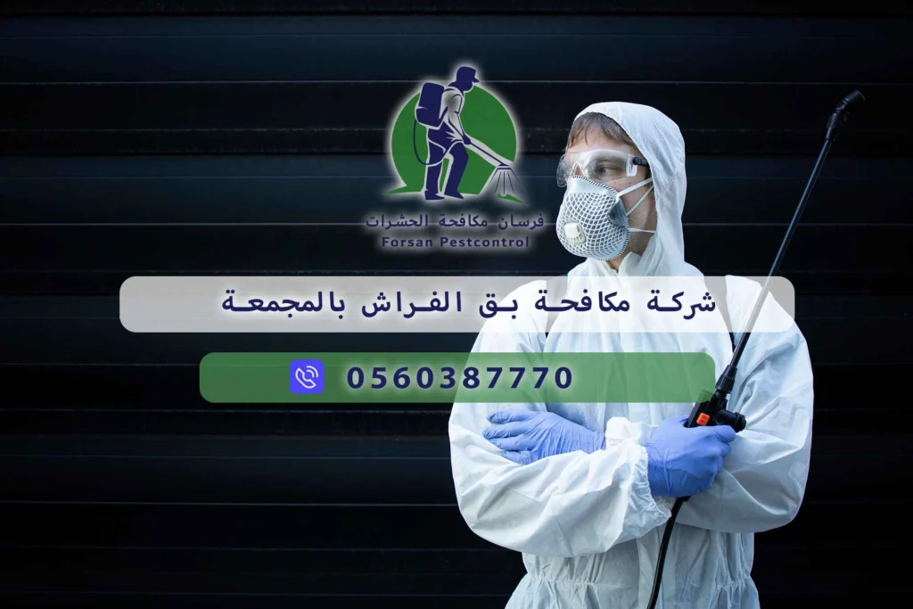 شركة مكافحة بق الفراش بالمجمعة
