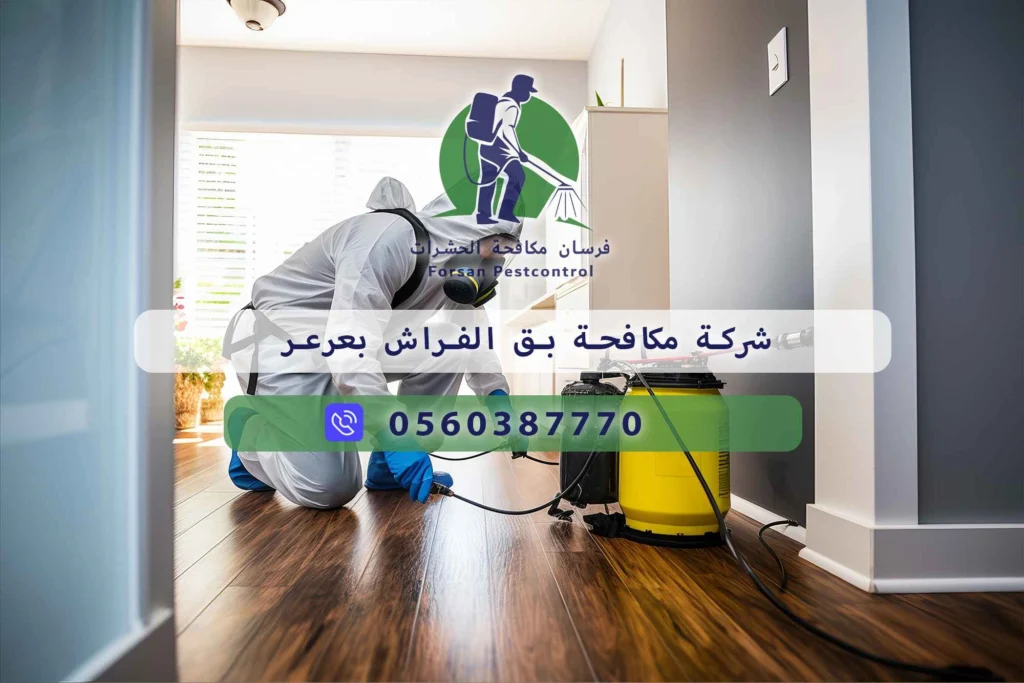 شركة مكافحة بق الفراش بعرعر