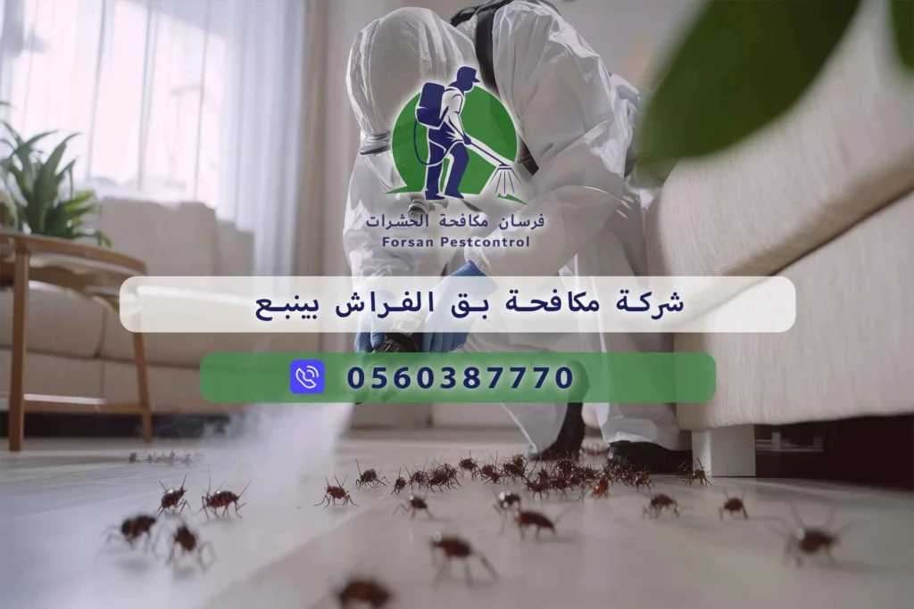 شركة مكافحة بق الفراش بينبع