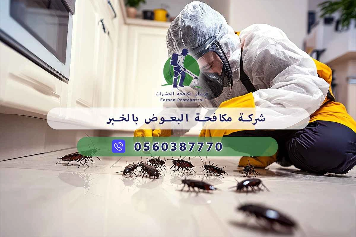 شركة مكافحة البعوض بالخبر 0560387770 – خصم ٤٥% مكافحة آمنة 3 شركة مكافحة البعوض بالخبر