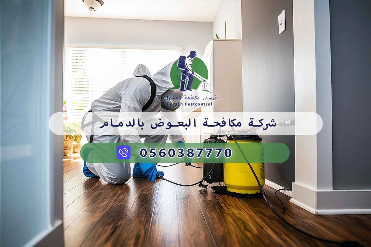 شركة مكافحة البعوض بالدمام 0560387770 – خصم ٤٥% مكافحة آمنة 3 شركة مكافحة البعوض بالدمام